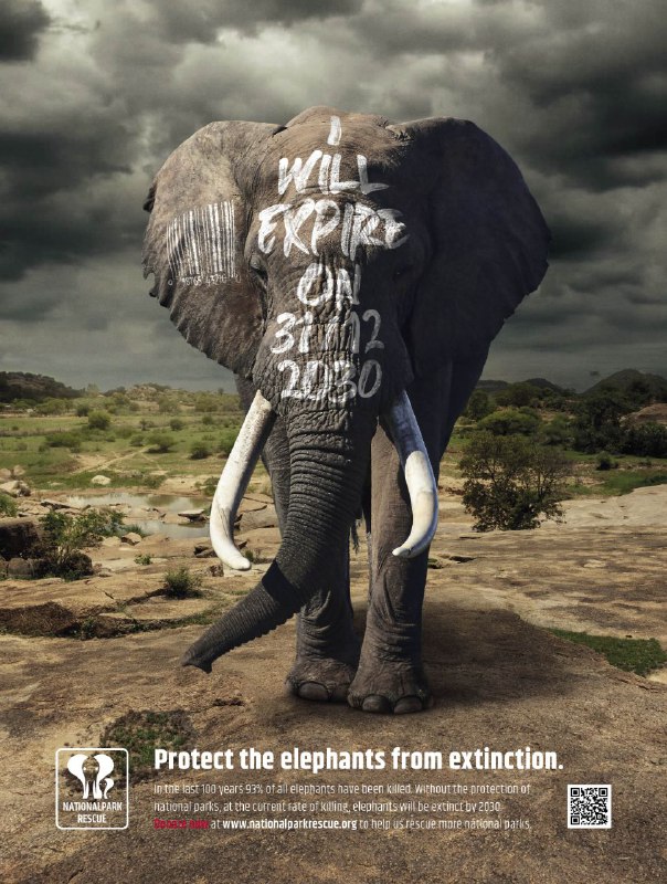 کمپین تبلیغاتی محافظت حیوانات در برابر انقراض