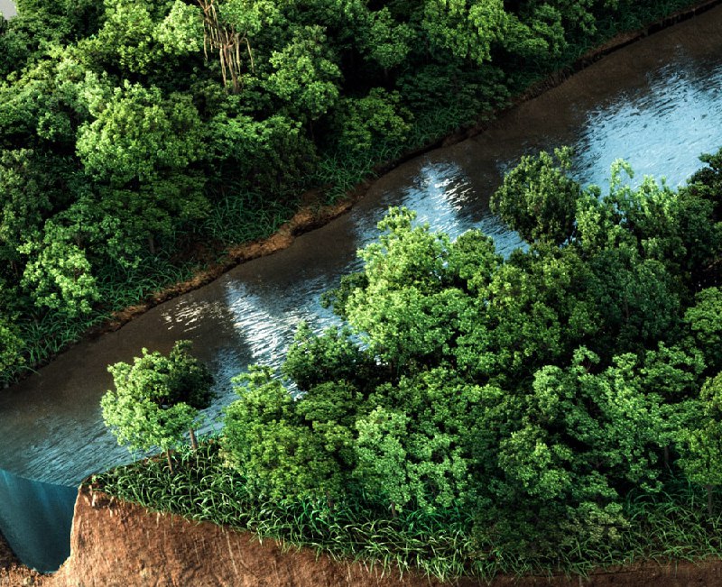 کمپین تبلیغاتی جنگل‌های آمازون