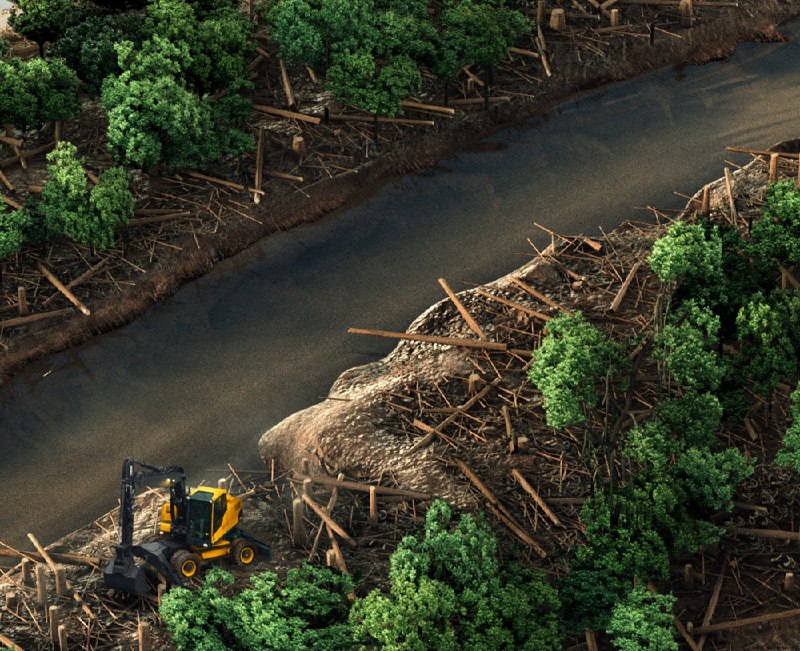 کمپین تبلیغاتی جنگل‌های آمازون