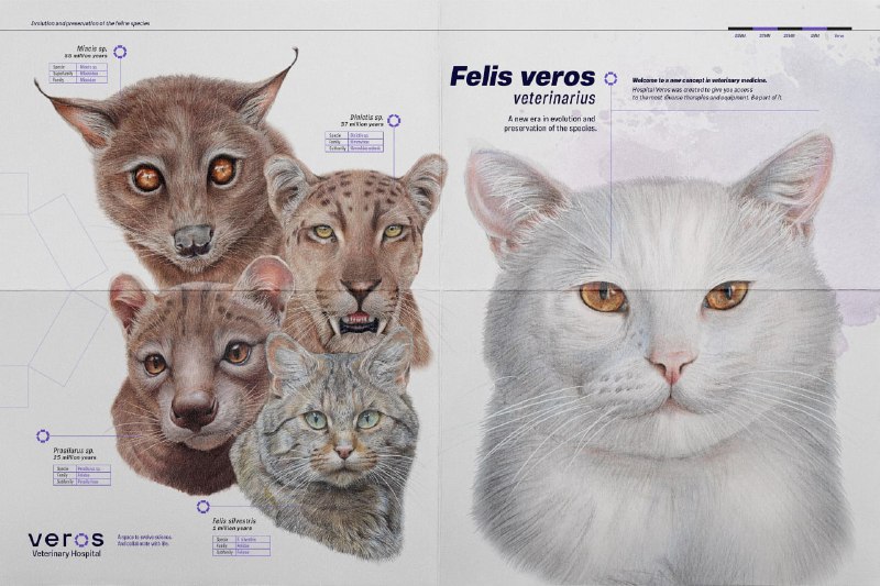 کمپین تبلیغاتی Hospital Veros برای تکامل حیوانات خانگی درکشوربرزیل