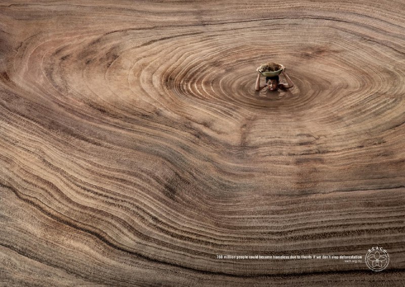 کمپین تبلیغاتی جنگل‌زدایی درکشورسنگاپور