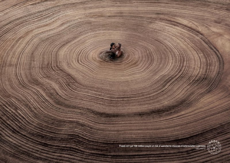 کمپین تبلیغاتی جنگل‌زدایی درکشورسنگاپور