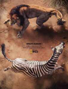 کمپین تبلیغاتی صحنۀ درگیری و شکار معروف‌ترین شکارچیان حیات‌وحش آفریقا