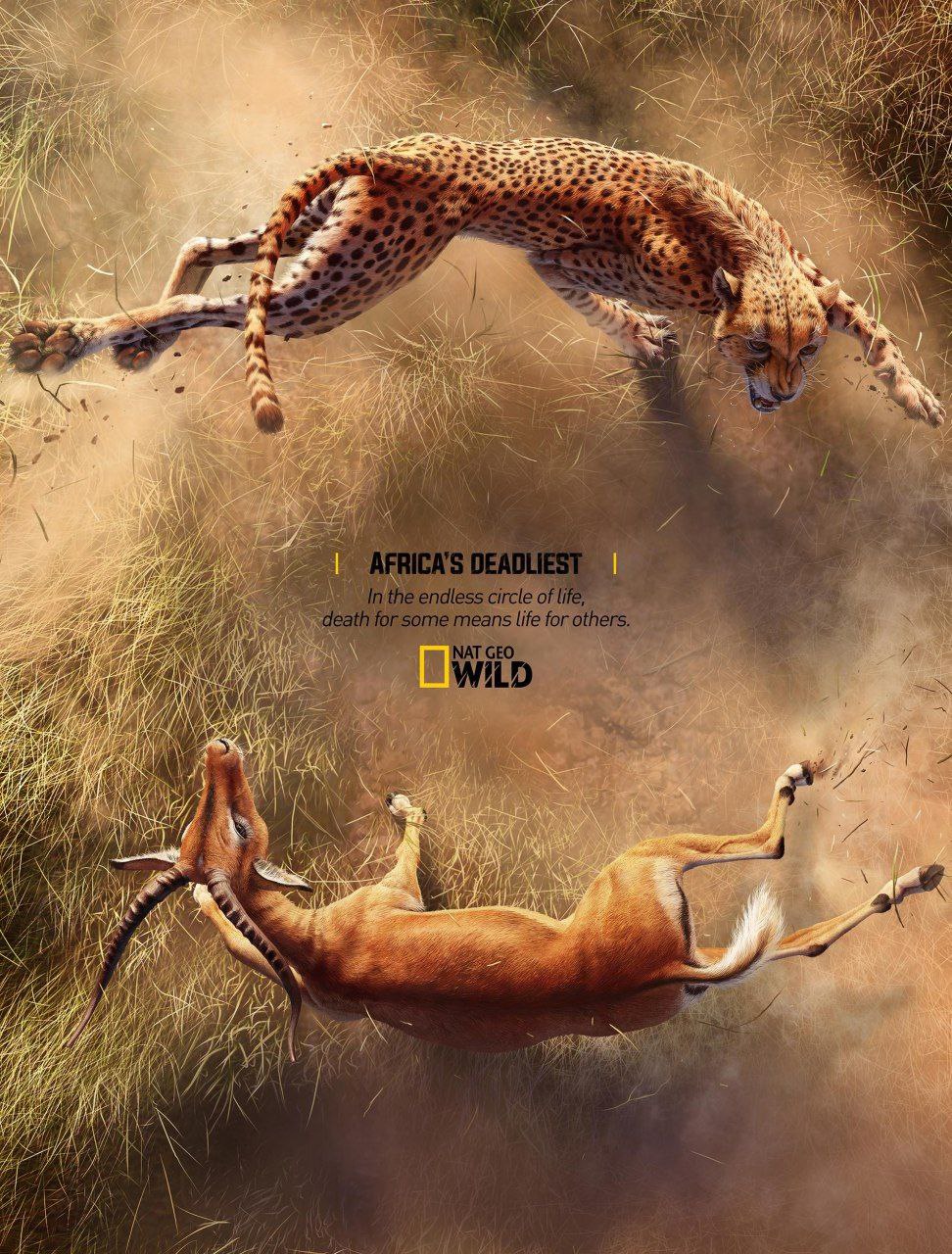 کمپین تبلیغاتی صحنۀ درگیری و شکار معروف‌ترین شکارچیان حیات‌وحش آفریقا
