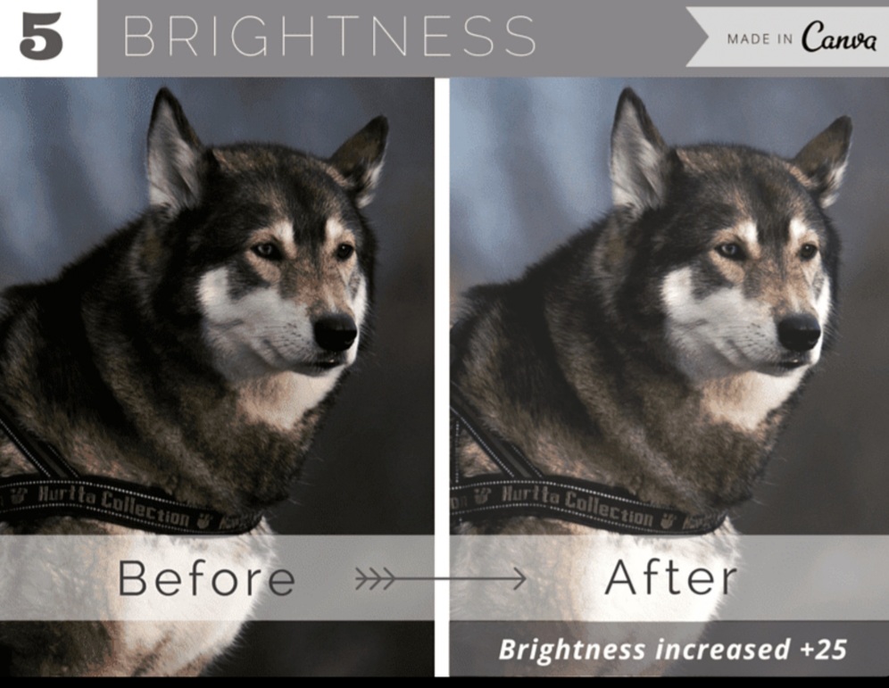 افزایش کیفیت تصویر با روش افزایش روشنایی کلی