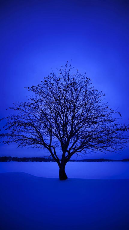 پکیج 10 عددی تصویر زمینه فوق العاده زیبا با تم آبی برای موبایل