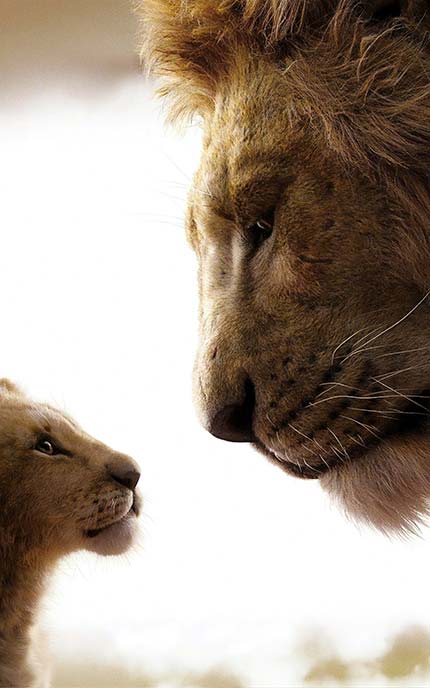 مجموعه تصویر زمینه فوق العاده با کیفیت و جذاب فیلم شیرشاه lion king
