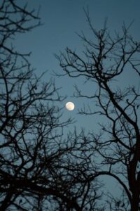 پکیج 10 عددی تصویر زمینه فوق العاده با کیفیت و جذاب ماه و آسمان شب