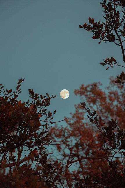 پکیج 10 عددی تصویر زمینه فوق العاده با کیفیت ماه در شب برای موبایل