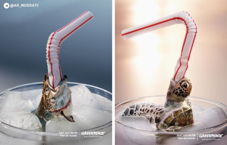 کمپین تبلیغاتی سازمان صلح سبز کانادا