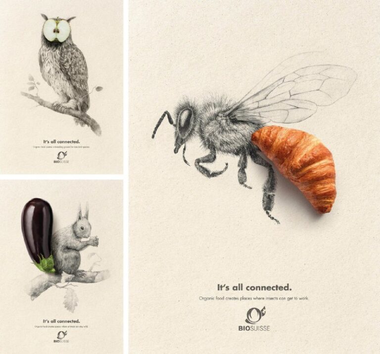 کمپین تبلیغاتی کشاورزی ارگانیک