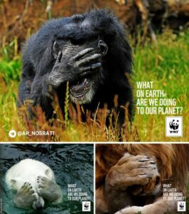 ایده تبلیغاتی مشکلات محیط زیستی