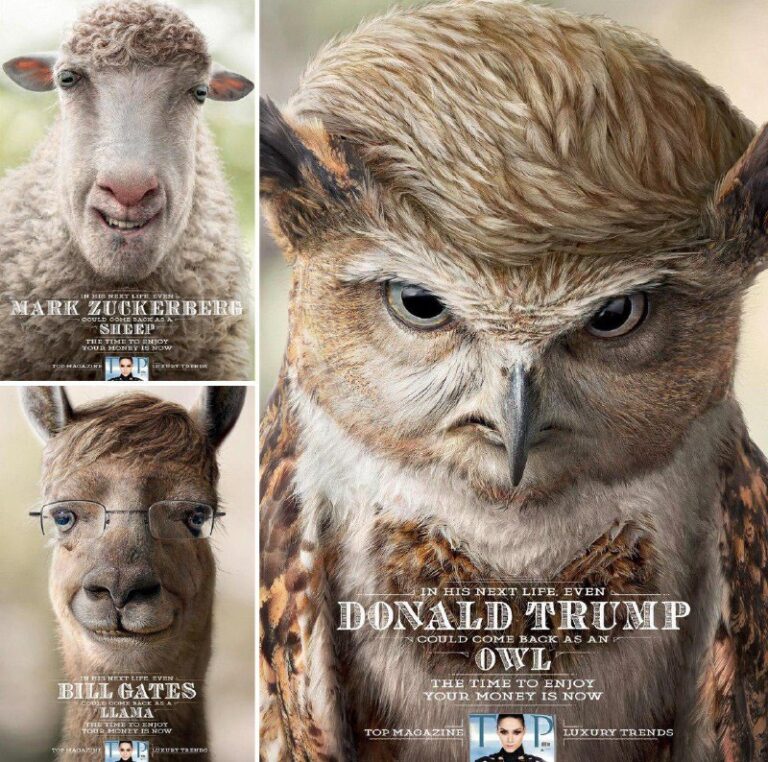 ایده تبلیغاتی لذت بردن از ثروت