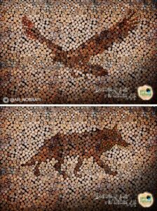 ایده تبلیغاتی بزرگترین گروه طرفدار محیط زیست مکزیک