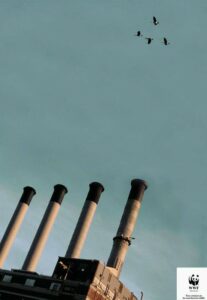 ایده تبلیغاتی دود و آلودگی ناشی از کارخانه ها