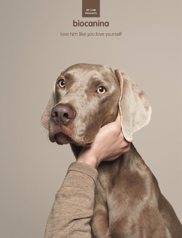 ایده تبلیغاتی محصولات بهداشت و سلامتی حیوانات خانگی