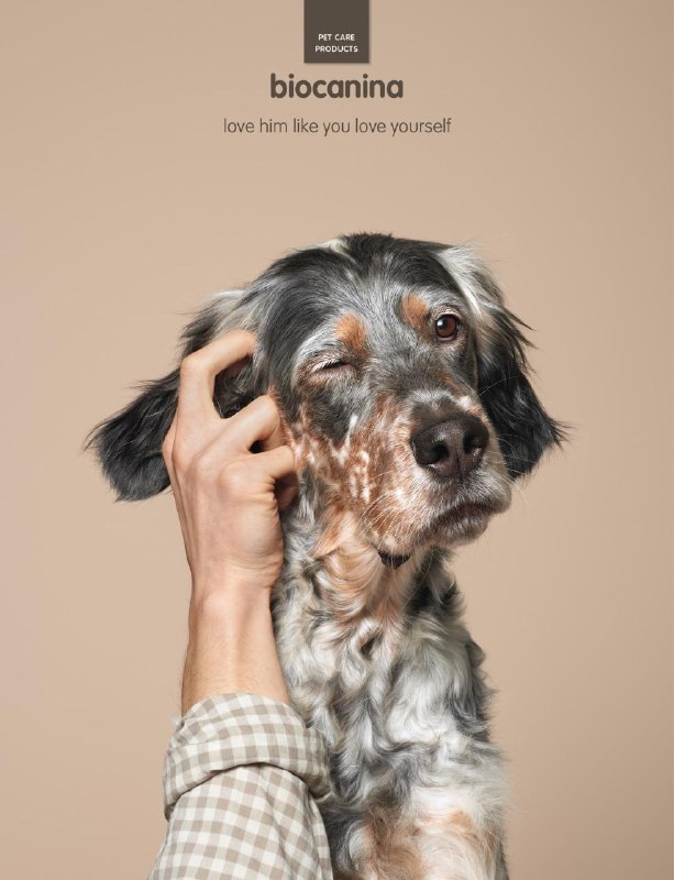 ایده تبلیغاتی محصولات بهداشت و سلامتی حیوانات خانگی