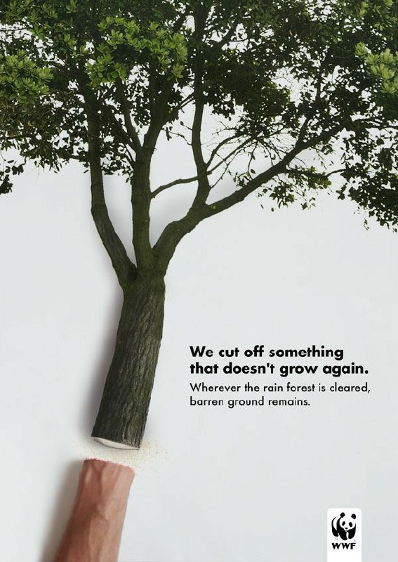 کمپین تبلیغاتی قطع درختان و نابودی جنگل