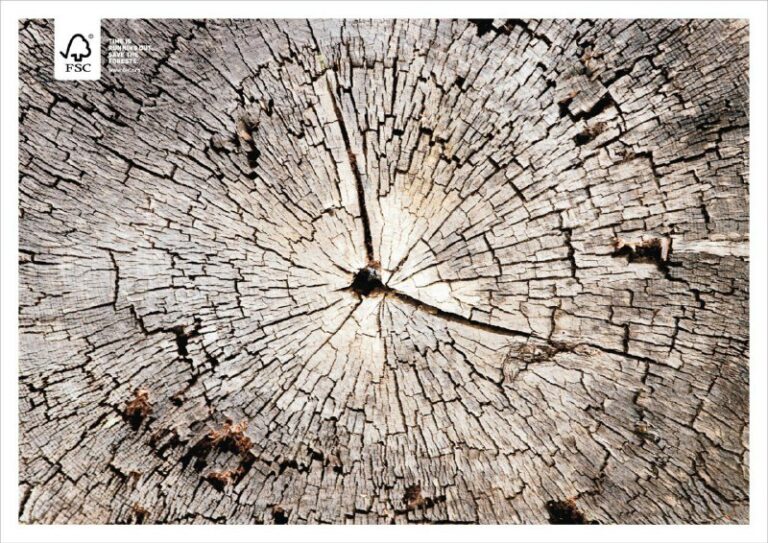 کمپین تبلیغاتی حفظ جنگل