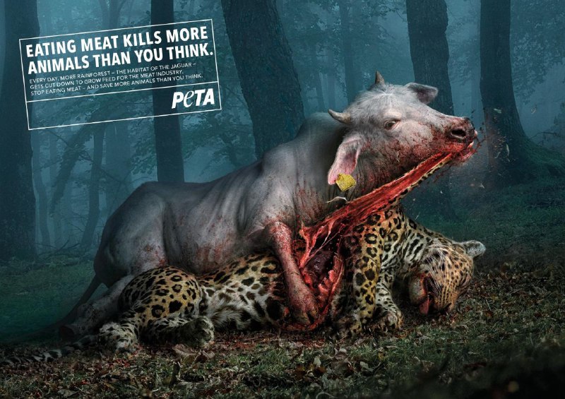 ایده تبلیغاتی خوردن گوشت