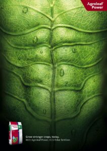 کمپین تبلیغاتی کود گیاهی