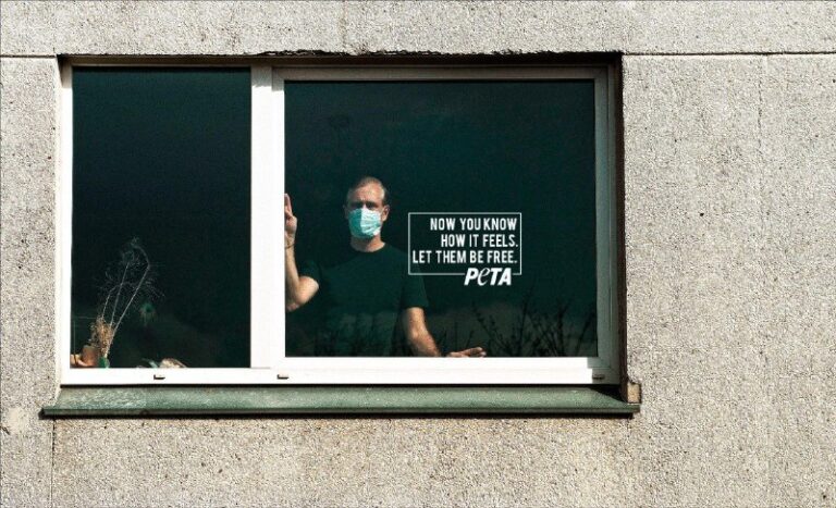 ایده تبلیغاتی سازمان پتا