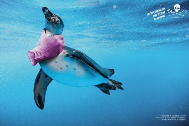 ایده تبلیغاتی آسیب به موجودات دریایی