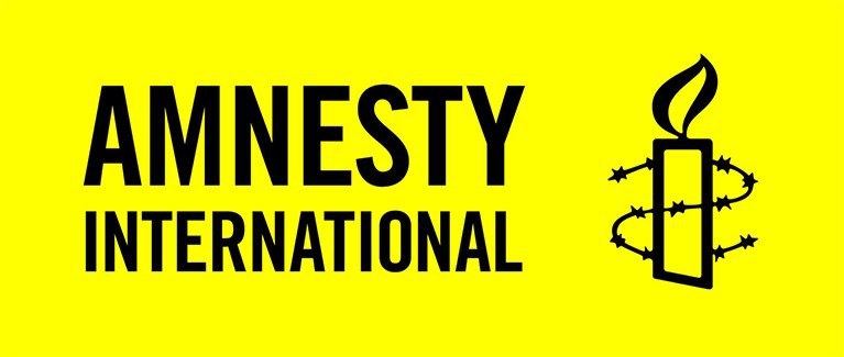 کمپین تبلیغاتی سنگسار، سازمان عفو بین‌الملل درباره شکنجه و سرکوب