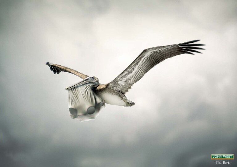 ایده تبلیغاتی کنسرو ماهی