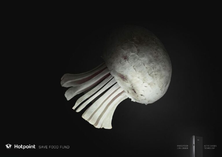 کمپین تبلیغاتی یخچال