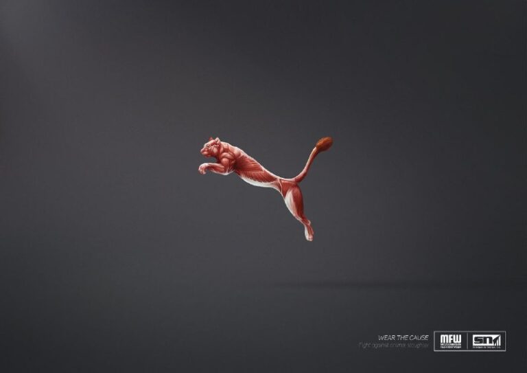 کمپین تبلیغاتی طراحی مد و لباس‌