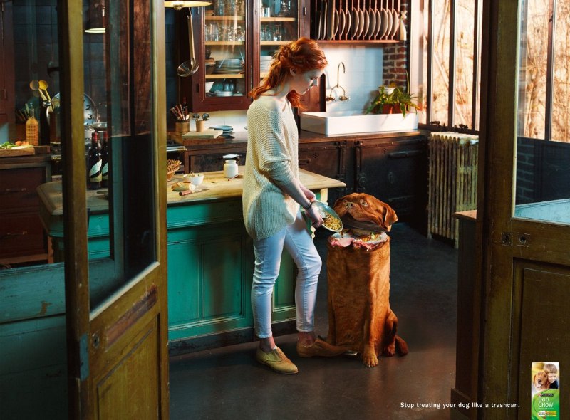 کمپین تبلیغاتی غذای سگ در آمریکا