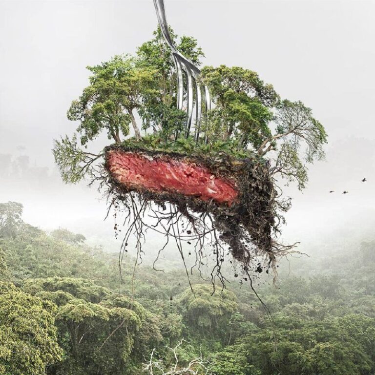 ایده تبلیغاتی دامپروری صنعتی