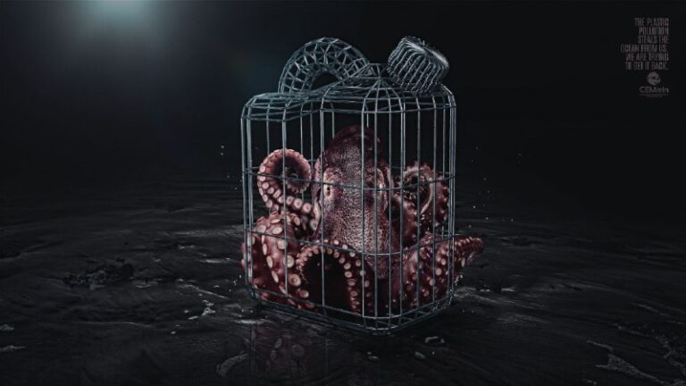 ایده تبلیغاتی سازمان غیردولتی CEMarin