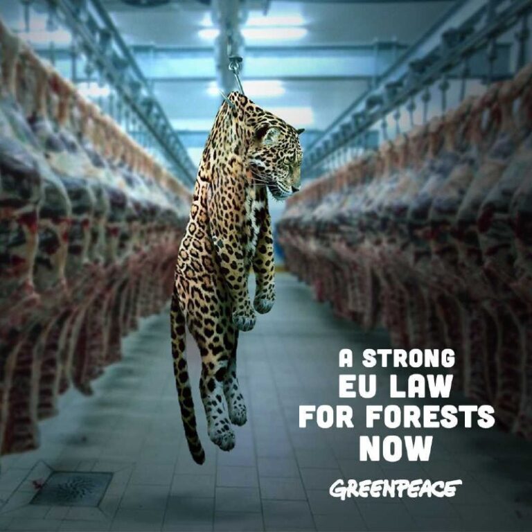 ایده تبلیغاتی سازمان صلح سبز