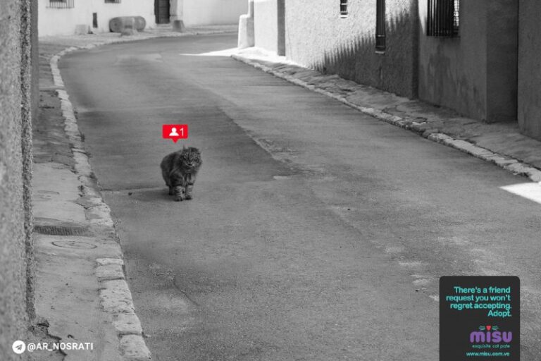 ایده تبلیغاتی تولیدغذای گربه