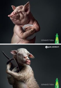 کمپین تبلیغاتی مایع ظرفشویی