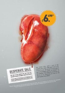 کمپین تبلیغاتی جشنواره