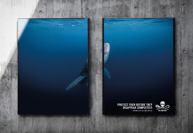 بیلبورد تبلیغاتی انقراض جانوران