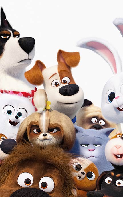 مجموعه تصویر زمینه فوق العاده با کیفیت و جذاب فیلم secret life of pets