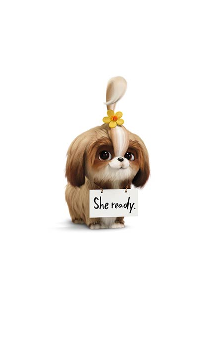 مجموعه تصویر زمینه فوق العاده با کیفیت و جذاب فیلم secret life of pets