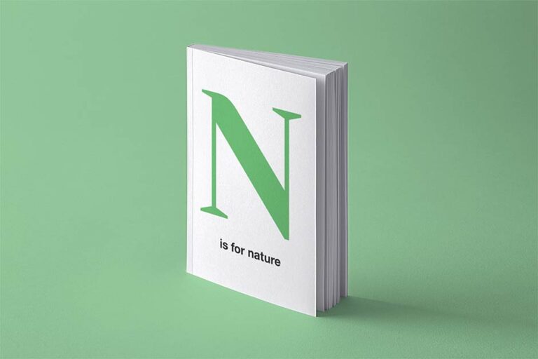 موکاپ جلد کتاب با صفحات باز با بکگراند سبز