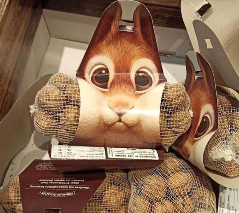 بسته بندی خلاقانه آجیل