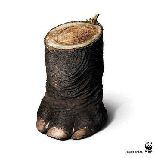کمپین تبلیغاتی نابودی جنگل