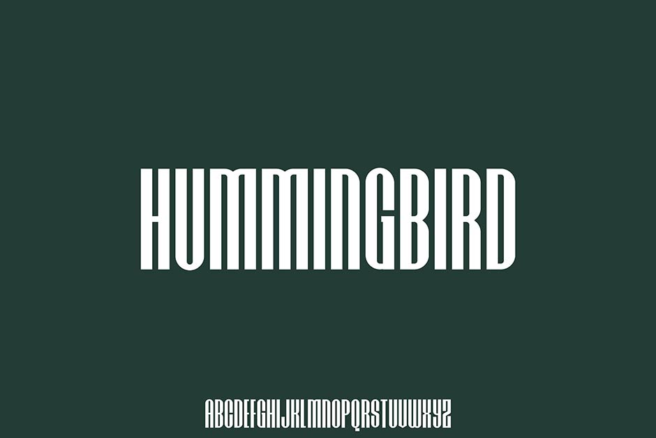 فونت پولی hummingbird