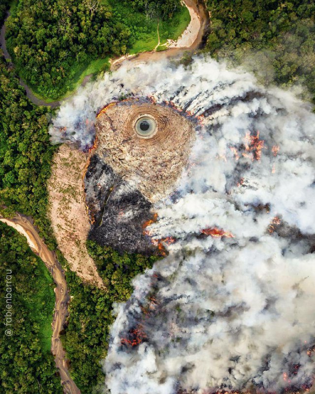 کمپین تبلیغاتی گرافیک آتش‌سوزی جنگل‌