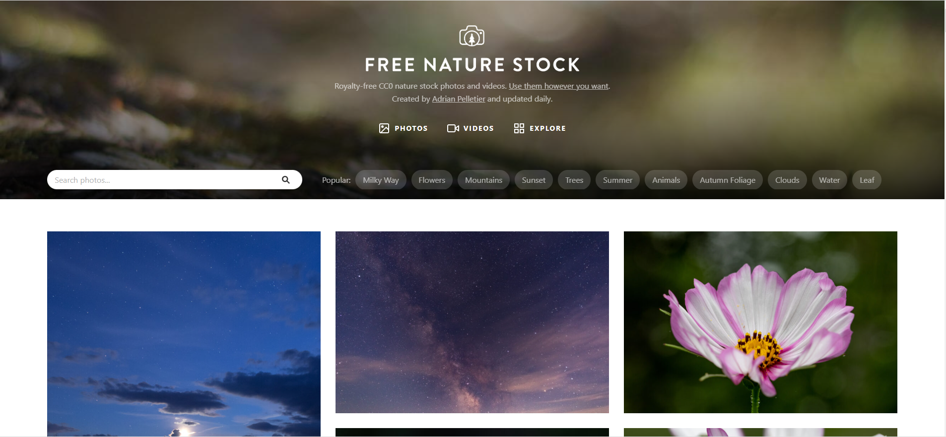 free_nature_stock