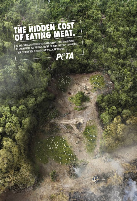 کمپین تبلیغاتی پرداخت هزینه پنهانی طبیعت به خاطر گوشتخواری انسانها