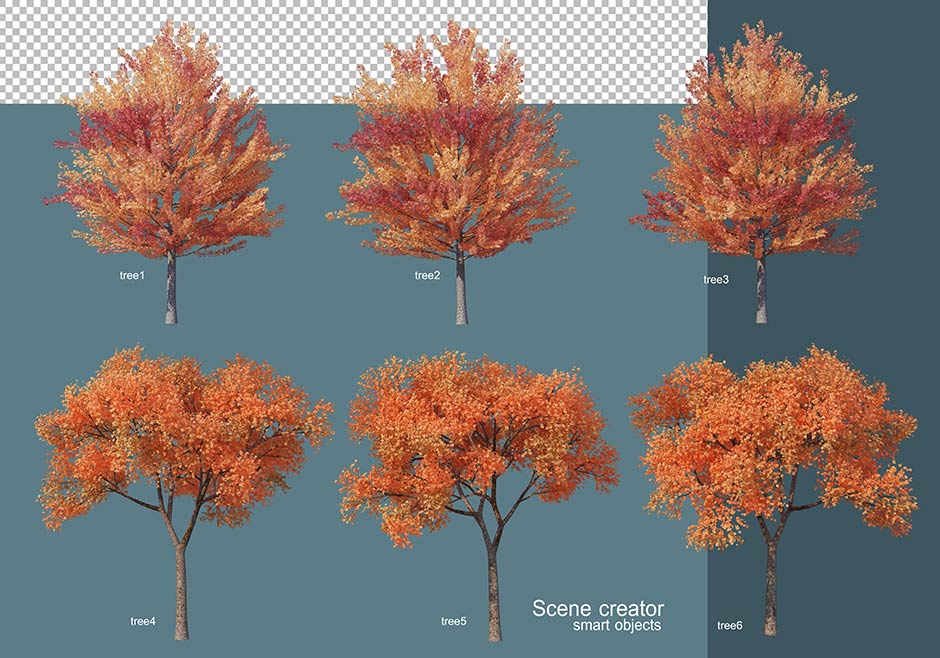 مدل های سه بعدی درختان با برگ های پاییزی