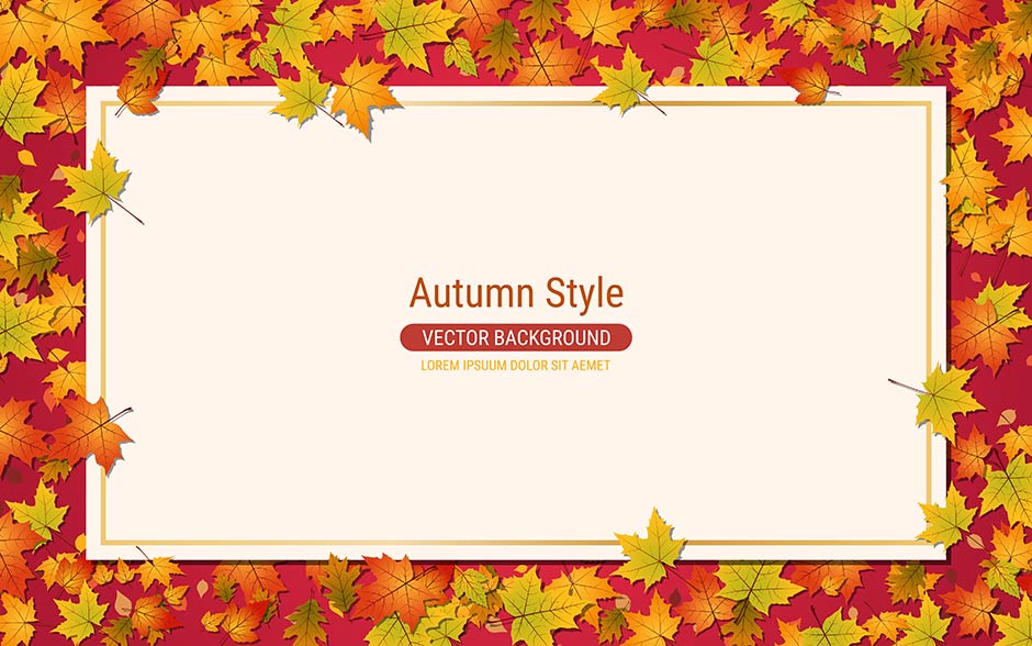 بنر سایت با تصویر برگ های قرمز و زرد پاییزی